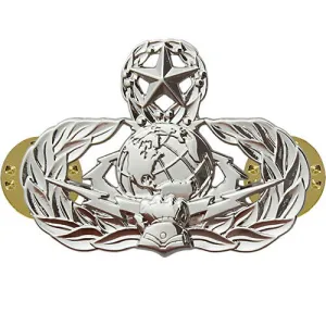 Air Force Badge: Cyberspace Support: Master - midsize